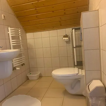 Nad Brzozkami Apartment Szczawnica Exterior photo